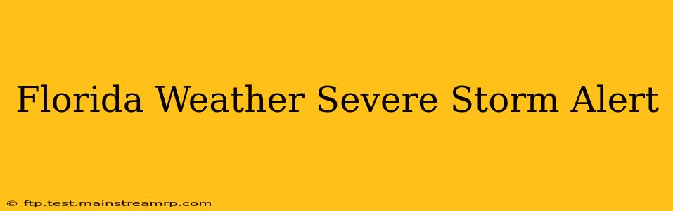 Florida Weather Severe Storm Alert