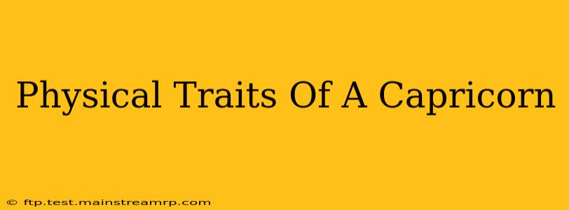 Physical Traits Of A Capricorn