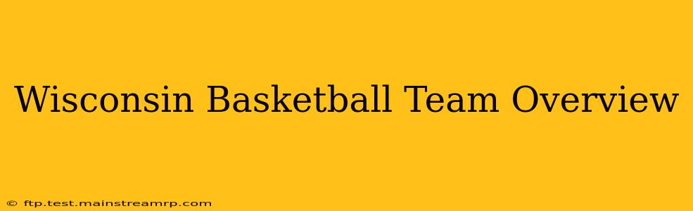 Wisconsin Basketball Team Overview